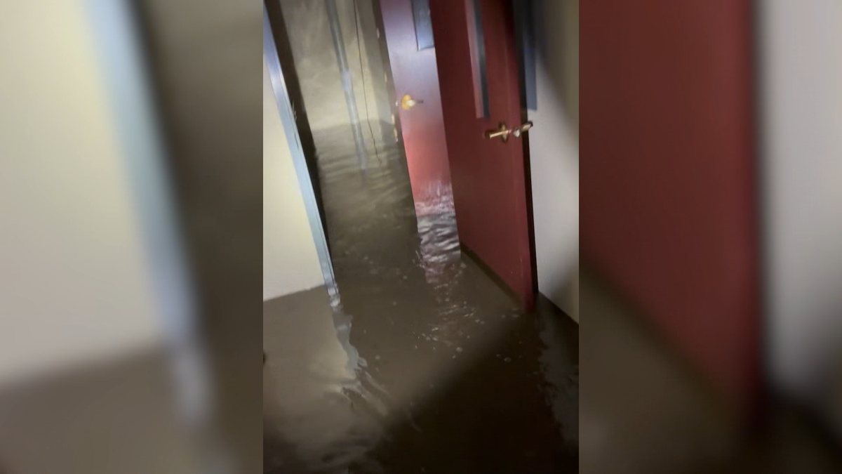 Flood damage from storms shuts down Oakmont Carnegie Library
