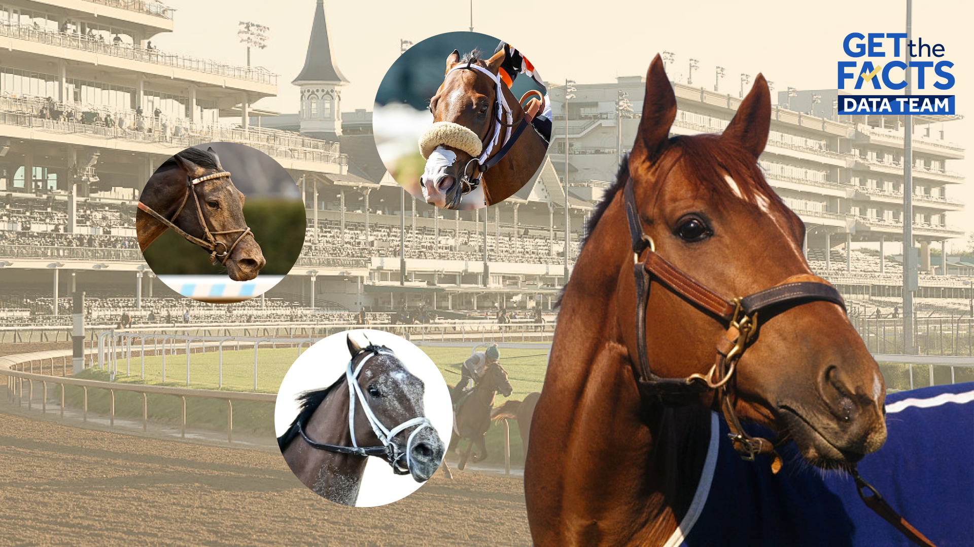 Secretariat's bloodline runs through Kentucky Derby 2026 in all but one horse WMUR 36 MIN