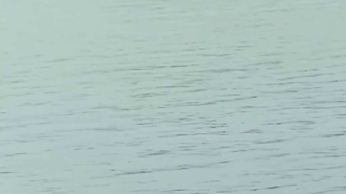 Search underway for missing boater at Logan Martin Lake