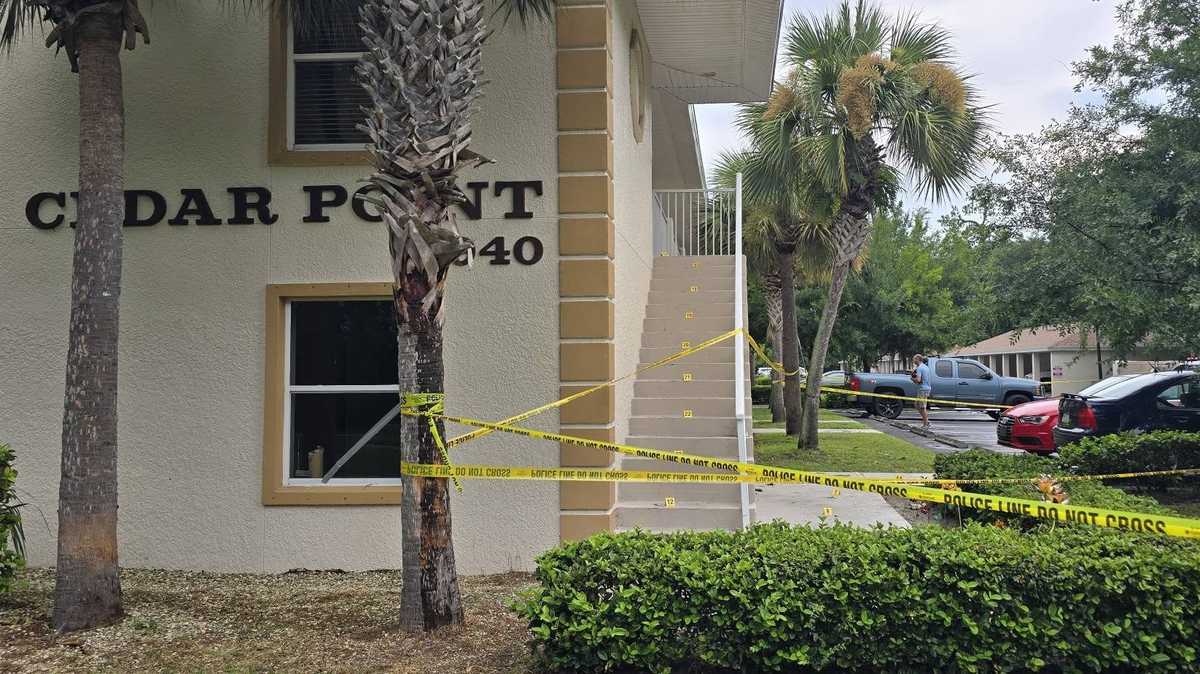 Assault News Image