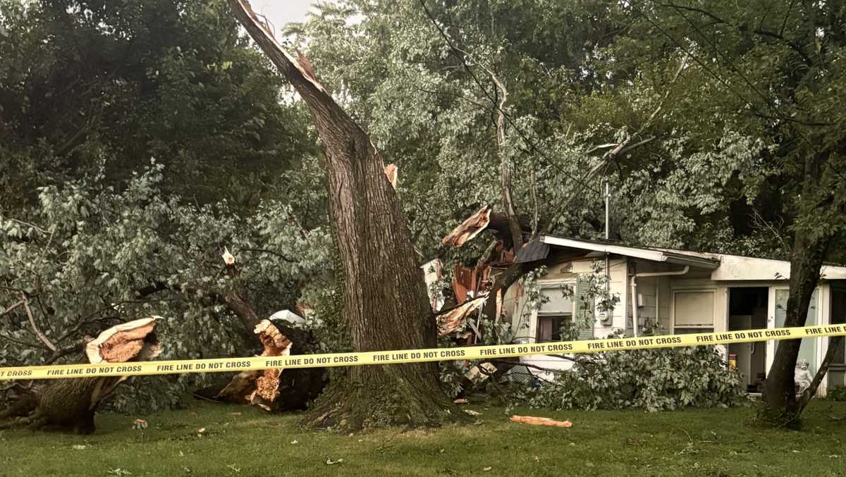 'Somebody was watching over us': Tree splits Valley Station home in two