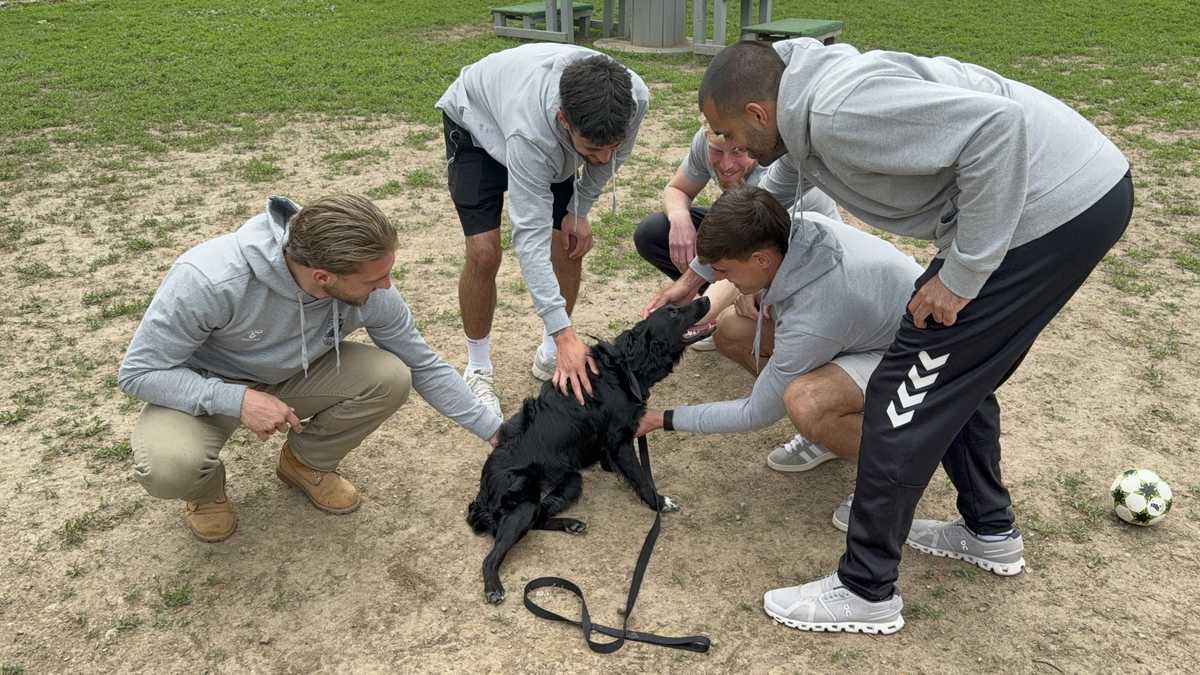 Very active girl: Meet Pebble, the Nebraska Humane Society's pet of the week