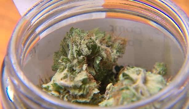 wlwt.com - Todd Dykes - Hamilton holds public hearing on marijuana dispensary zoning proposal