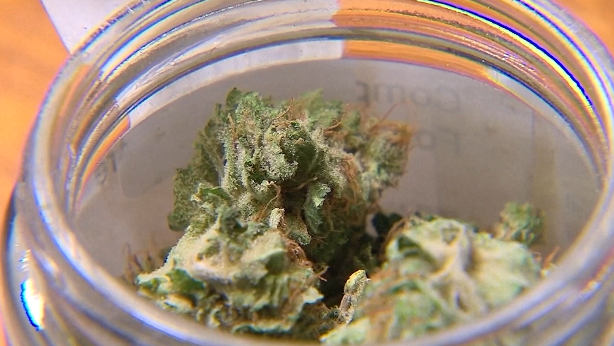 Hamilton holds public hearing on marijuana dispensary zoning proposal
