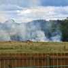 Crews respond to brush fire in Upstate neighborhood