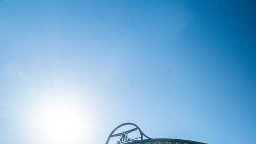 Cemetery becomes Florida's first to earn arboretum accreditation