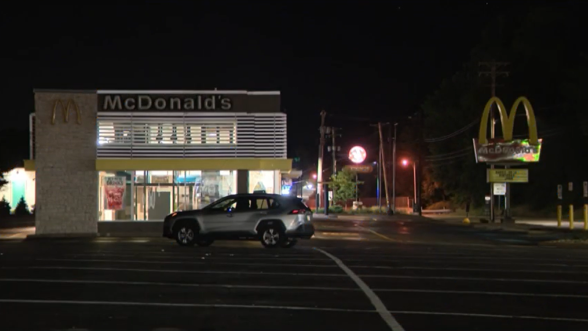 Police search for man who crashed into police cruiser, led officers on chase in Allegheny County