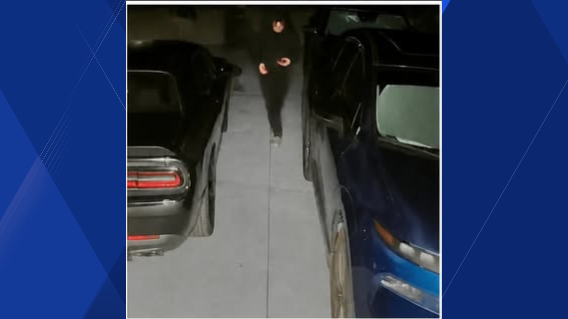 Deputies search for suspect accused of trying to break into homes, cars ...