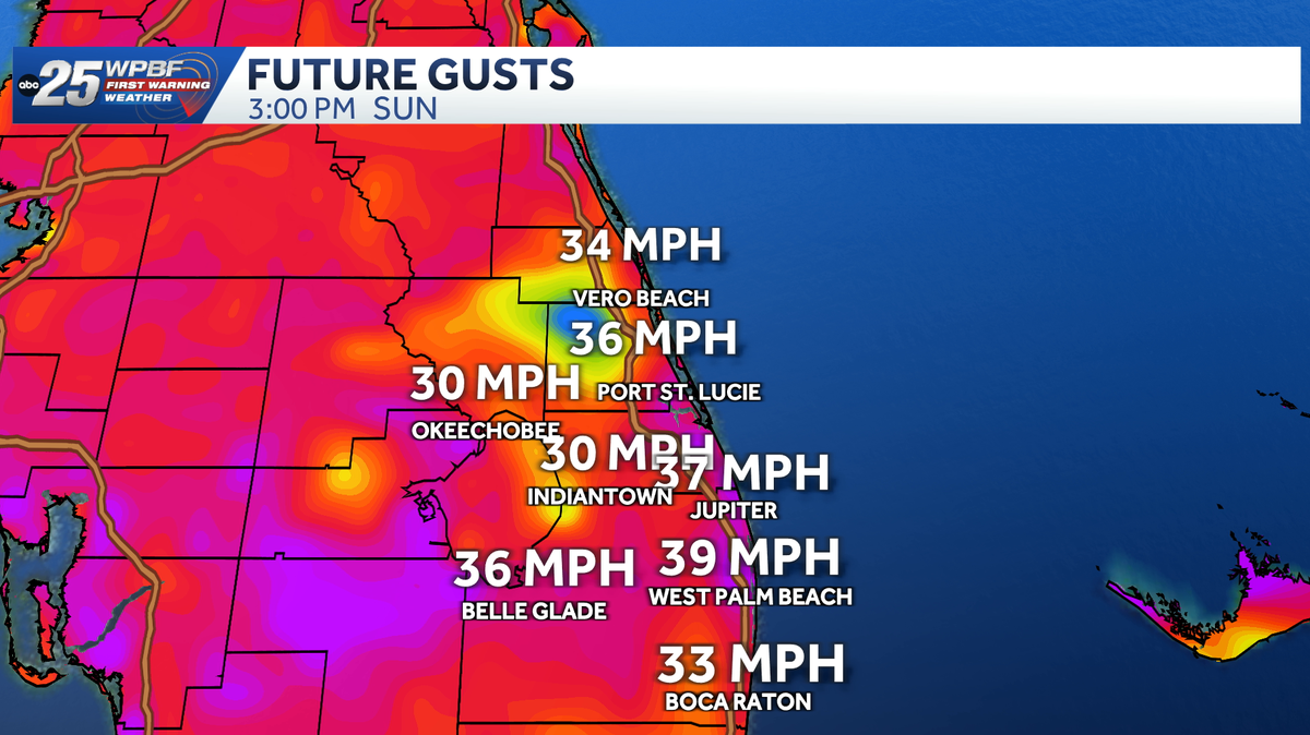 Strong winds and scattered rain expected in the Palm Beaches, Treasure Coast next two days