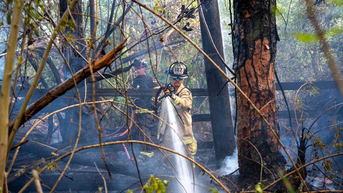Crews put out brush fire near power pole in Englewood Thursday evening