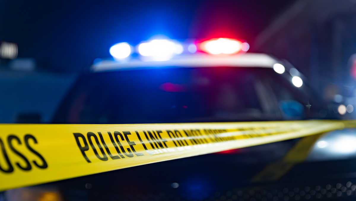 Shooting News Image