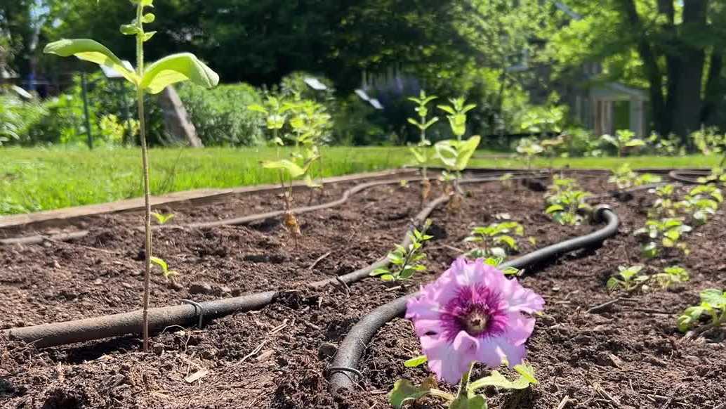 Hydration, sun protection | Experts share tips to help gardeners stay healthy during warm weather