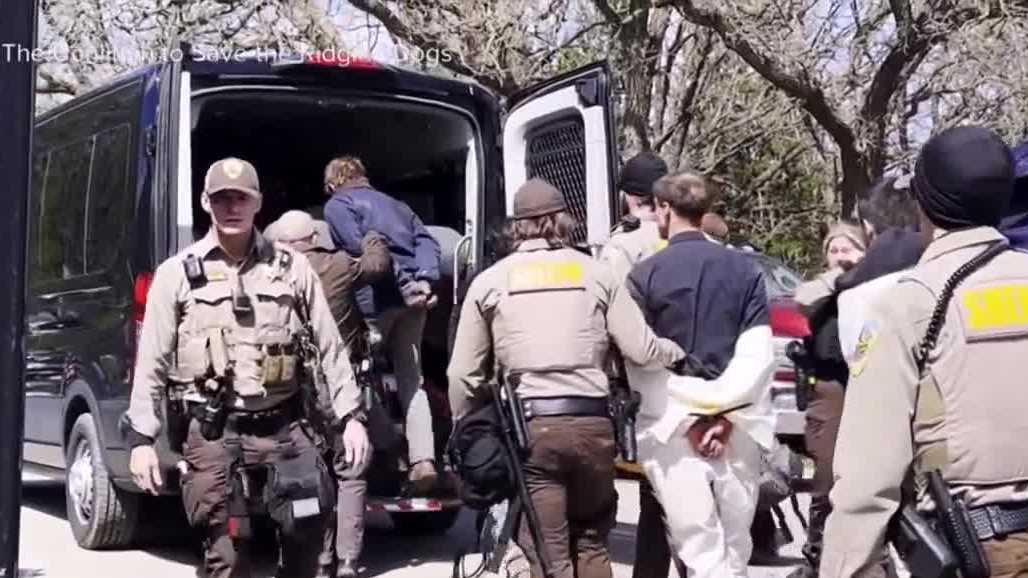 Dozens of activists arrested at Ridglan Farms dog breeder in Wisconsin