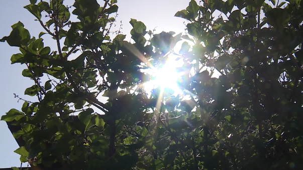 Emergency departments expect spike in patients amid intense Cincinnati heat