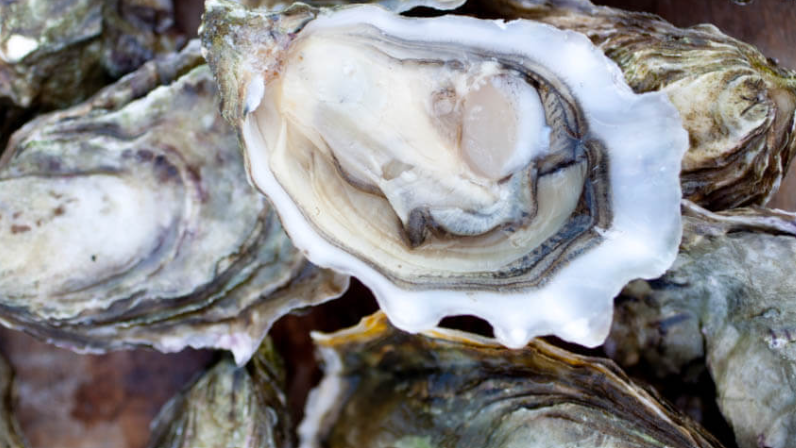 Georgia oyster harvesting to reopen Thursday after warm-water closure extended