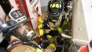 Firefighters rescue cat and hamster from Palm Beach County house fire
