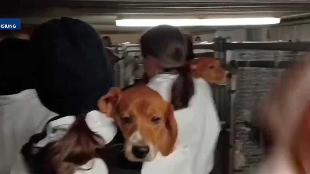 4 activists charged in March break-in at Wisconsin beagle breeding farm