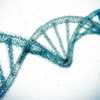 With the snip of a gene, scientists hope to erase high cholesterol for life
