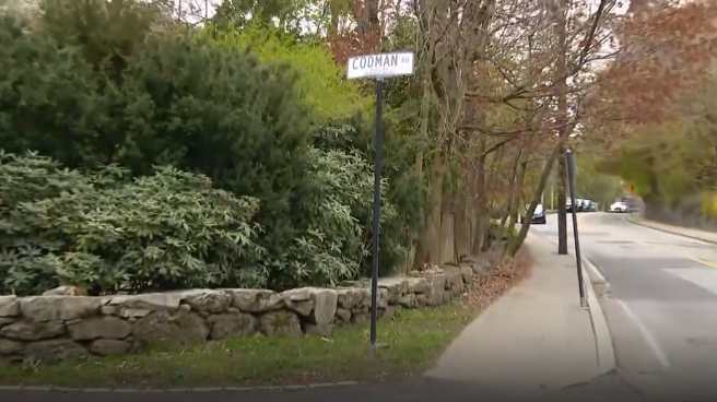 Brookline woman says she was surrounded by three coyotes while walking dog