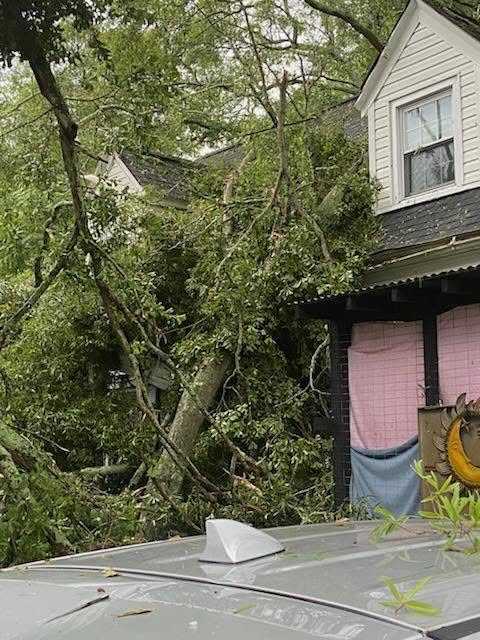 Trees damage homes, cars, roads after severe storms