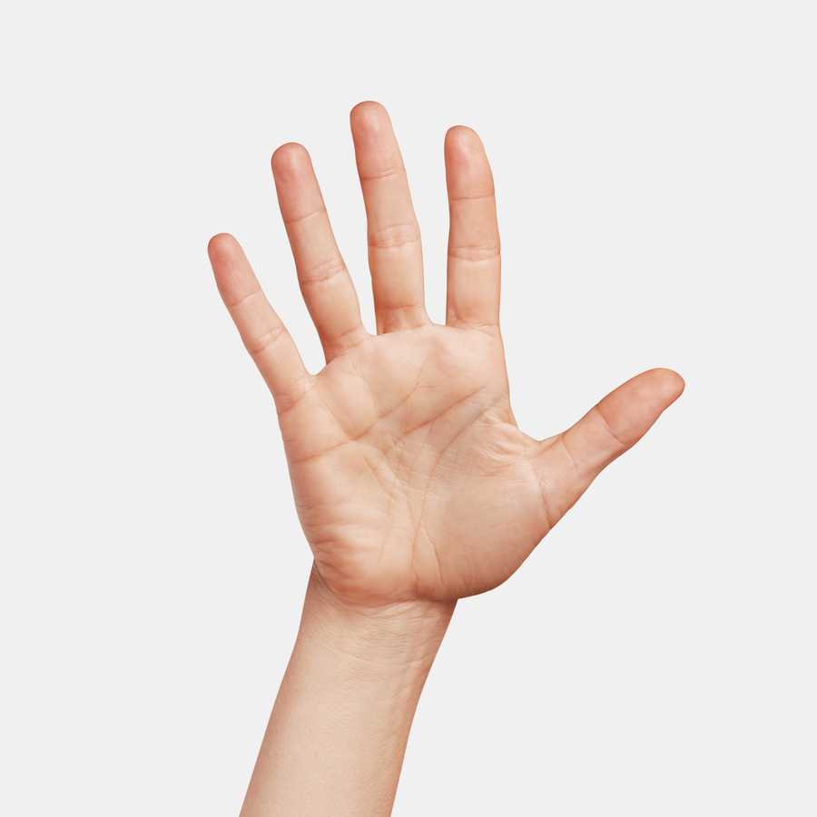 hand