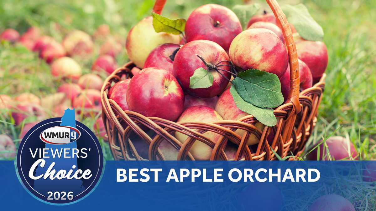 Viewers' Choice 2026: Best apple orchards