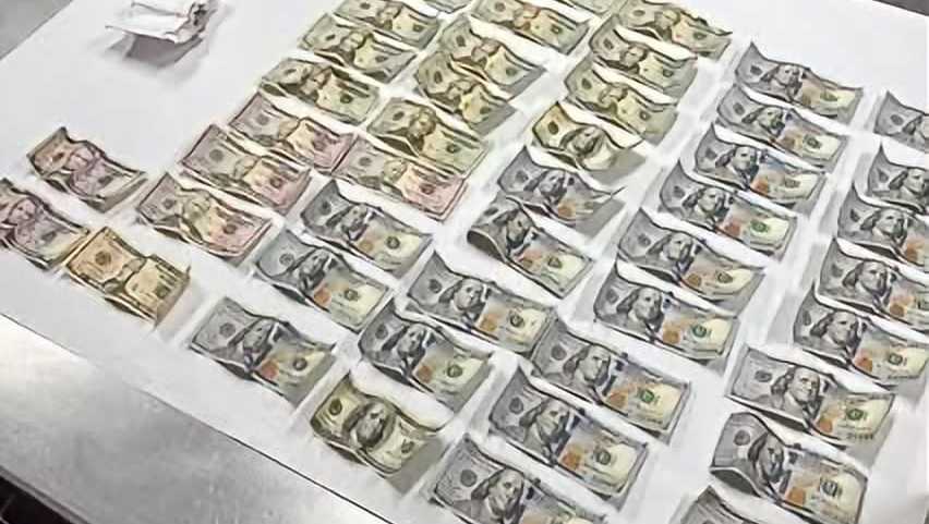 Miami woman arrested in Martin County for posing as bank representative, hiding stolen cash in body