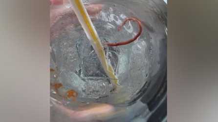 Class action lawsuit filed over worms in McDonald's sodas