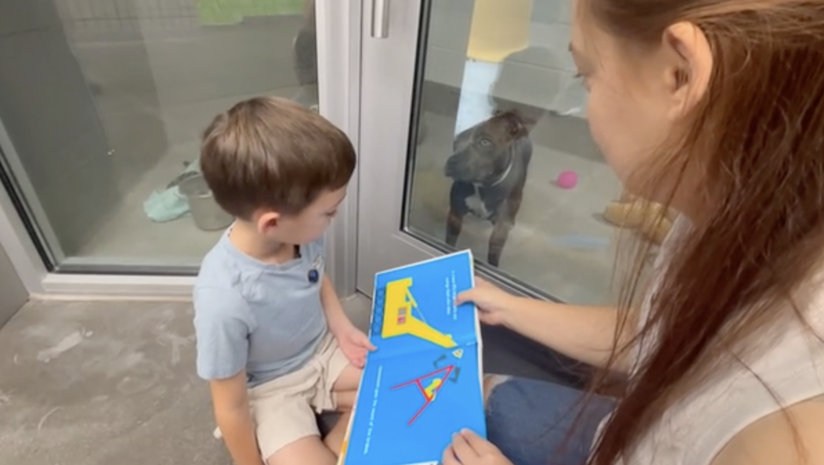 Arizona kids build confidence by reading books to shelter dogs