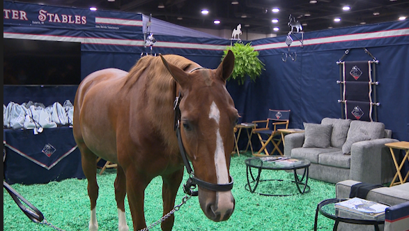 The World Championship Horse Show concludes Saturday