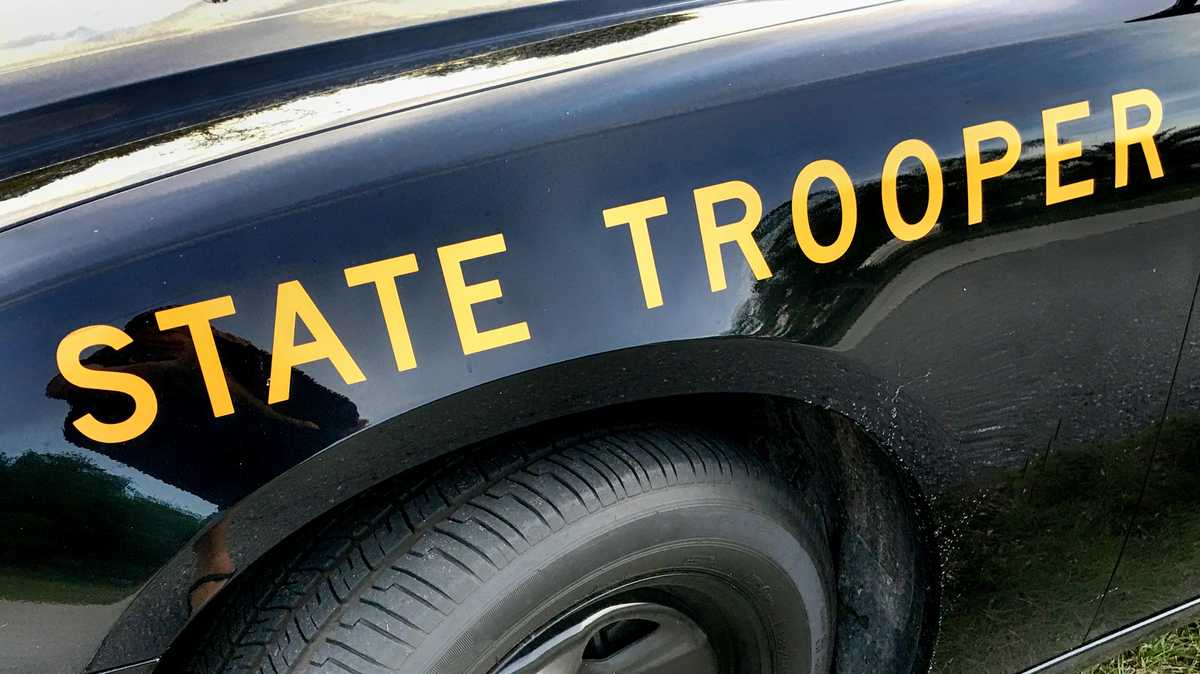 Leesburg man struck, killed while trying to cross highway near Tampa, troopers say