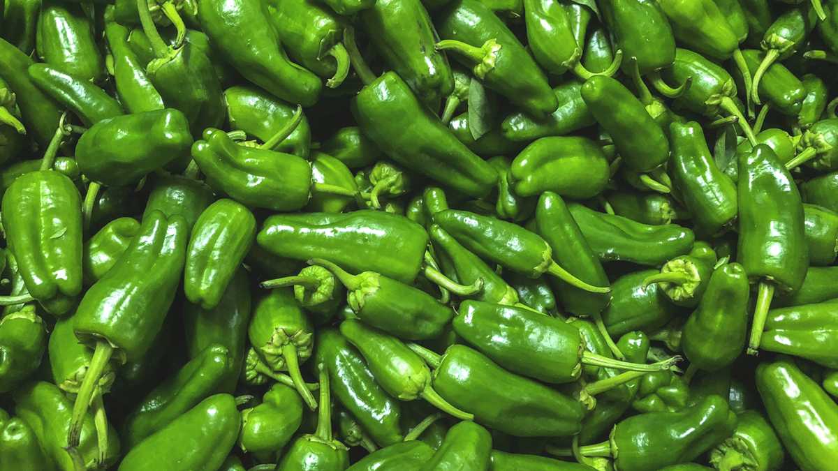 CDC links South Carolina and North Carolina illnesses to jalapeño salmonella outbreak