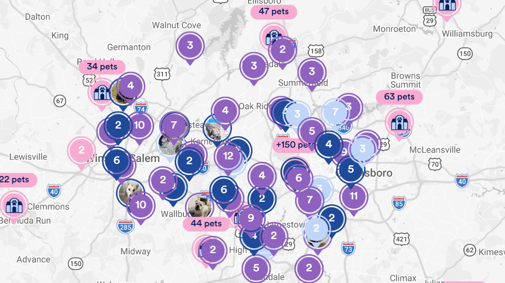 AI lost and found pet finder tool is being used in the Triad with help of Forsyth Humane and Petco