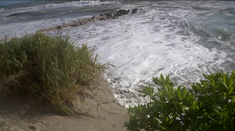 King tide pushes water to the seawall at Midtown Beach