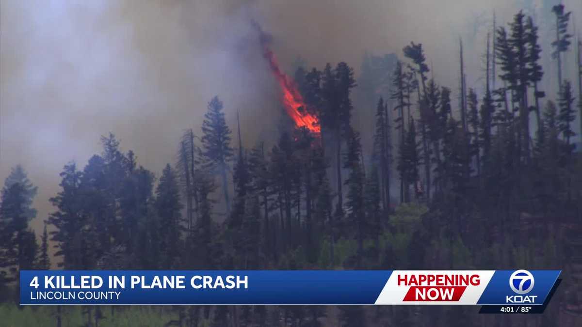Former NTSB investigator weighs in on medical aircraft crash in New Mexico