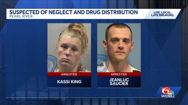 Pearl-river residents accused of cruelty to children, animals