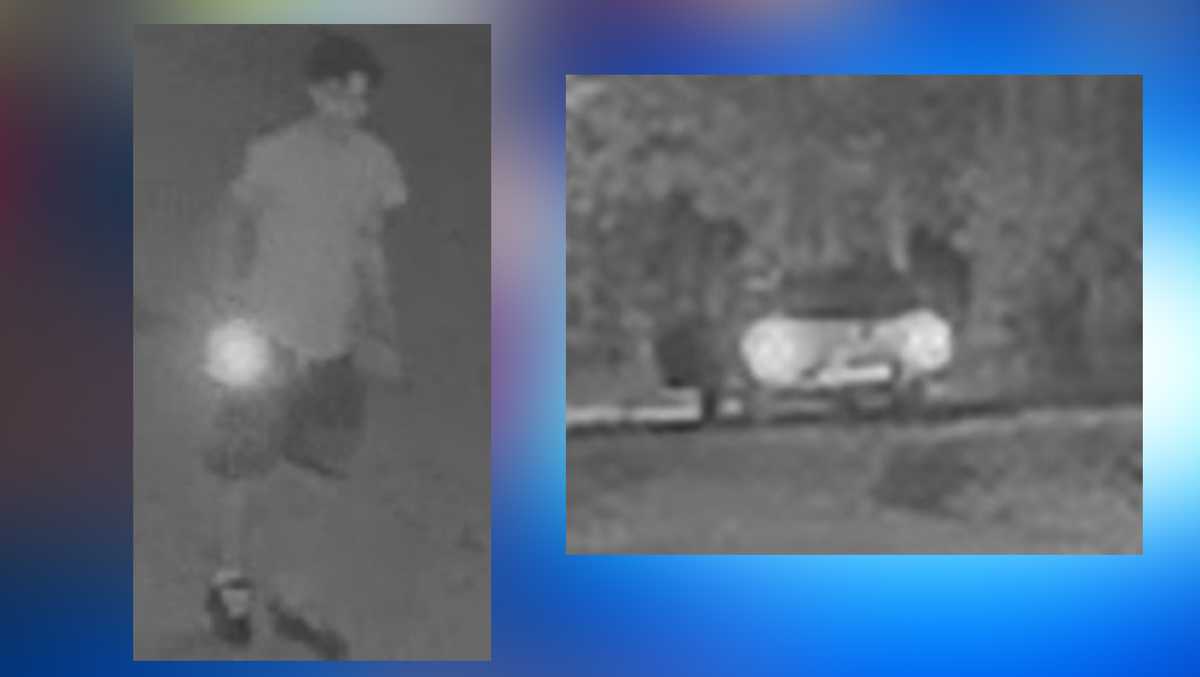Detectives seek suspects in Upstate business break-in