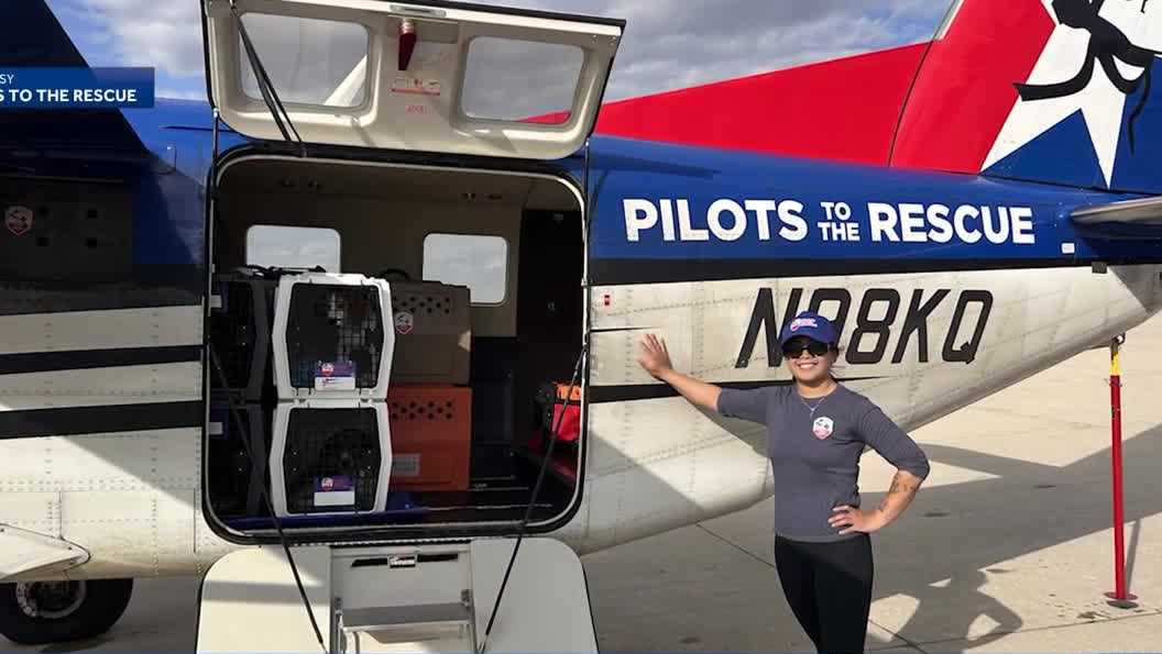 Nonprofit flies rescued Ridglan Farm beagles to shelters