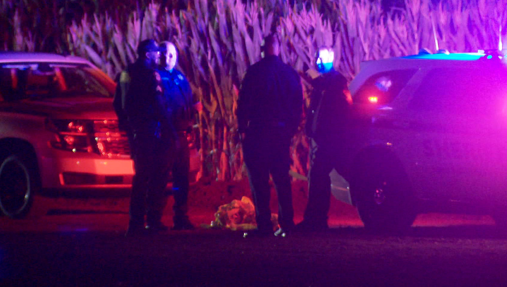 1 in custody after 2 hurt in stabbing at Cool Patch Pumpkins in Dixon