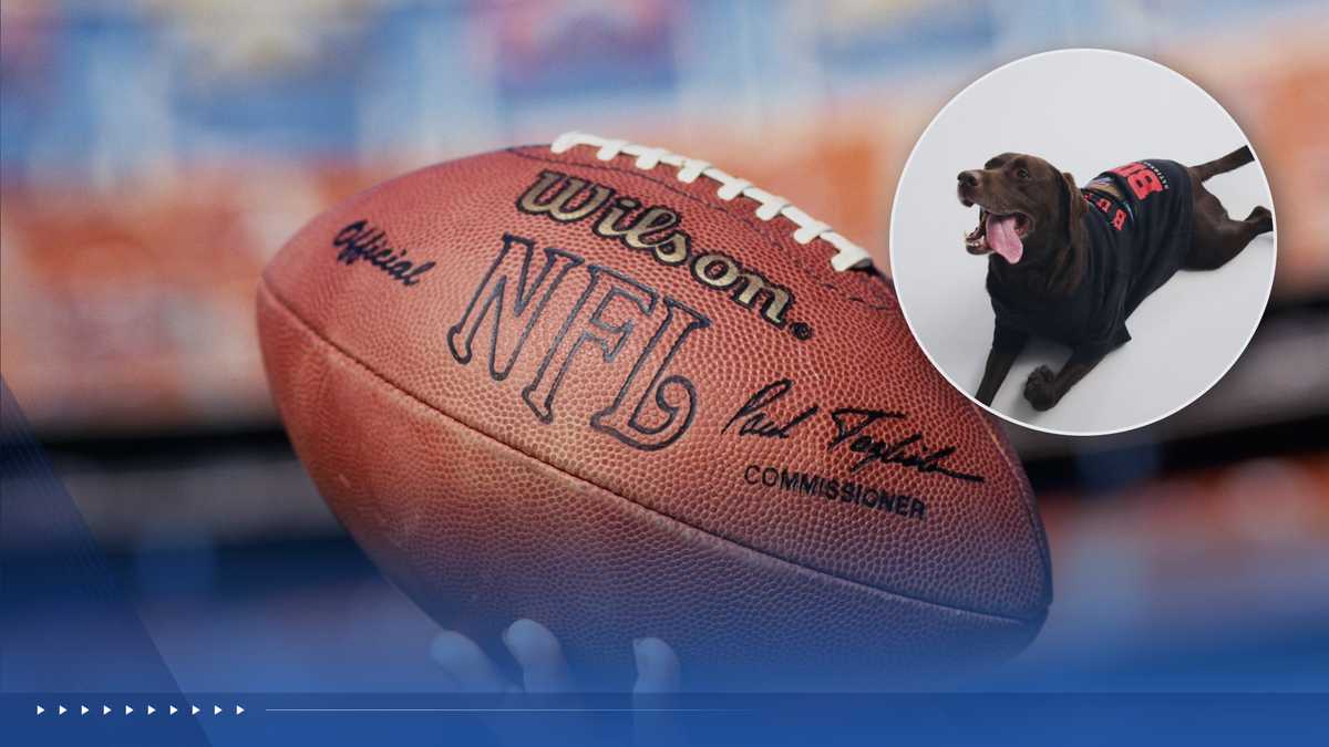 NFL by Abercrombie rolls out 32-team styles, baby gear and pet looks for 2026 season