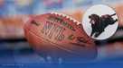 Abercrombie’s NFL collection is expanding for 2026, with gear for all 32 teams — even babies and dogs. Abercrombie expands NFL collection for 2026 season