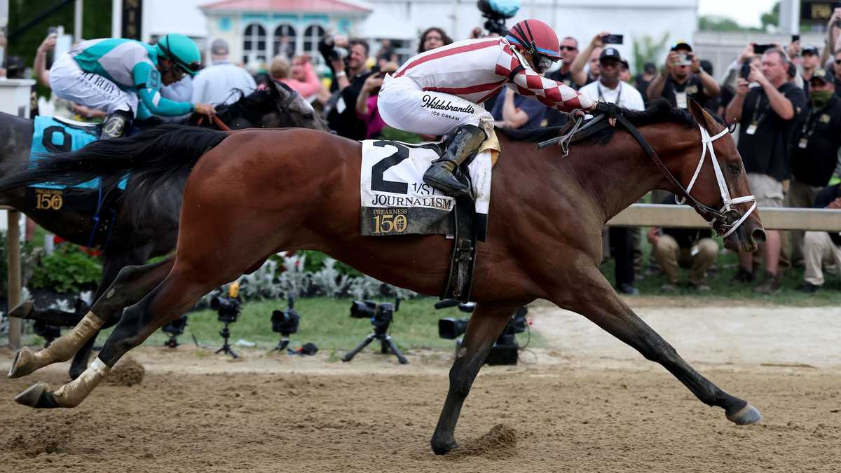 2025 Preakness winner Journalism retires from horse racing