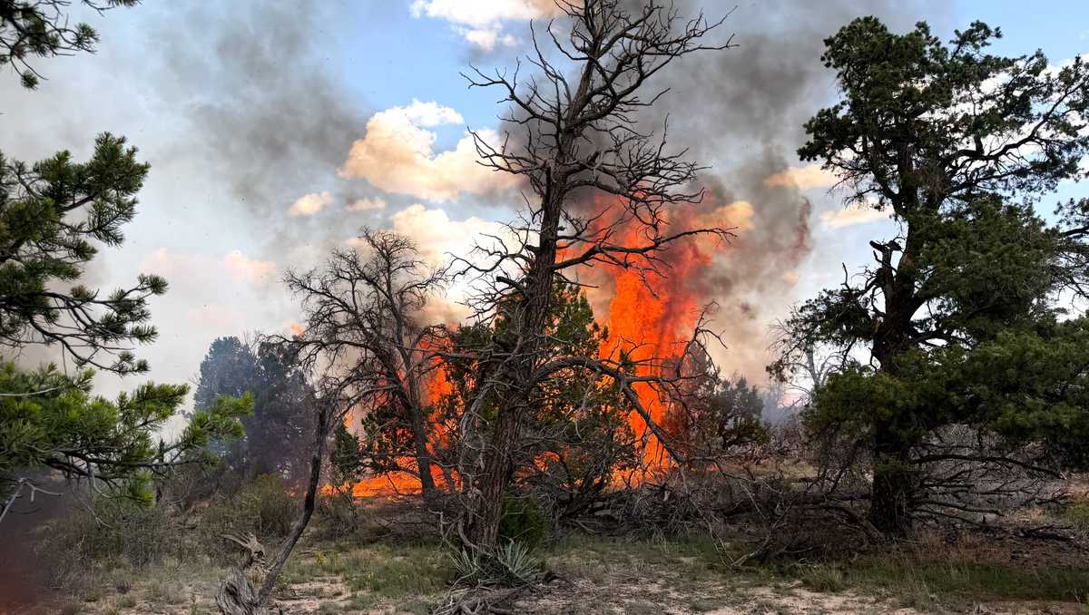 Crews responding to 'Four Mile Fire' in Zuni Mountains