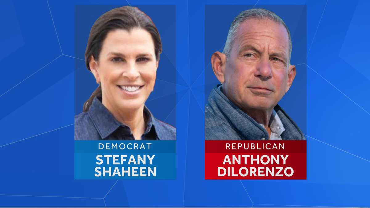 Stefany Shaheen wins Democratic 1st District race, will take on Anthony DiLorenzo