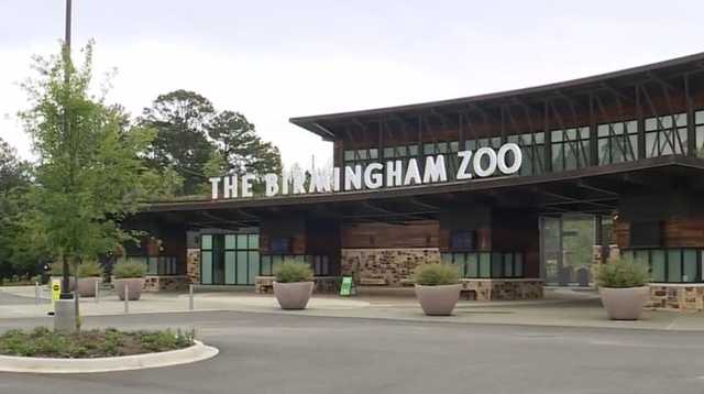 Birmingham Zoo named Alabama's Attraction of the Year for 2026