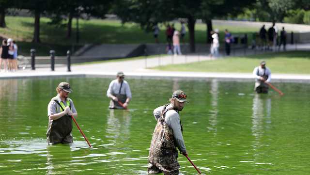 Was the Reflecting Pool vandalized? Here's what we know so far