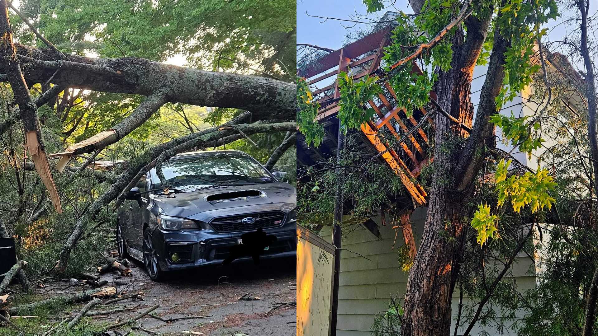 What a mess! Tree smashes car, home during storm in Randolph