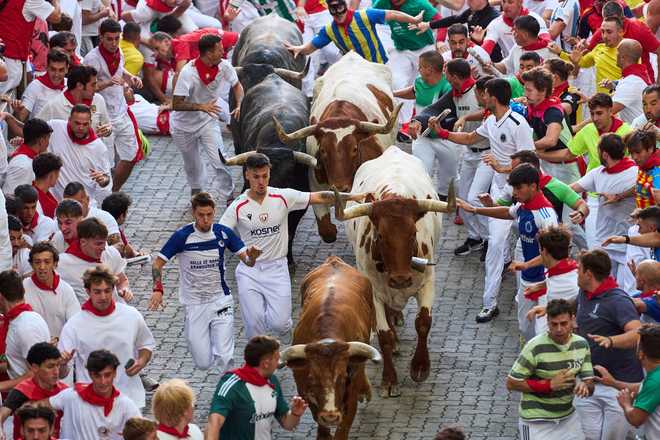 Revelers run alongside Jose Escolar's fighting bulls during the fifth running of the bulls at the San Fermín festival in Pamplona, Spain, Saturday, July 11, 2026.