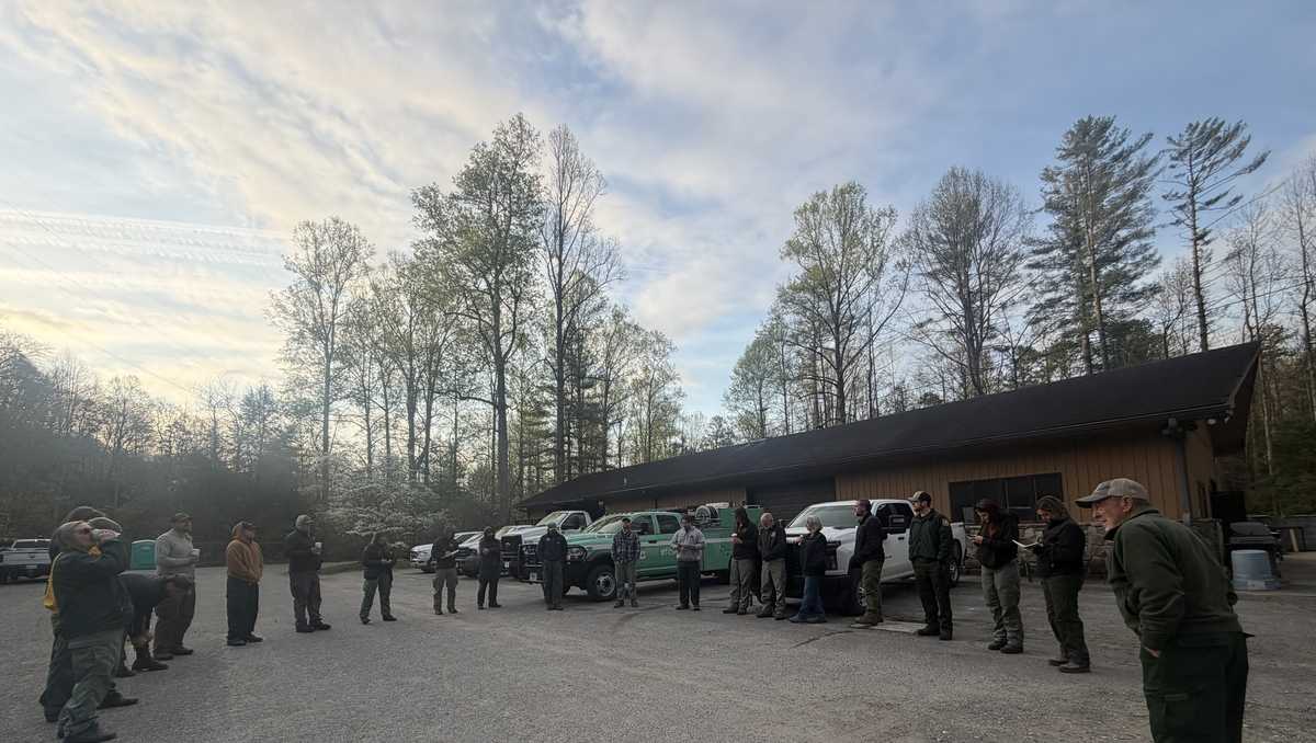 Firefighters battle wildfire in Western North Carolina forest