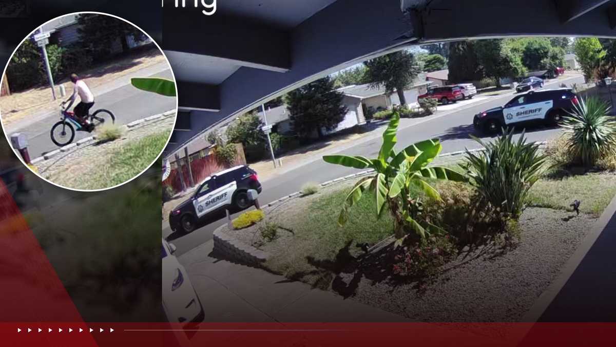 Robbery News Image